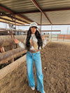 The Cisco Top