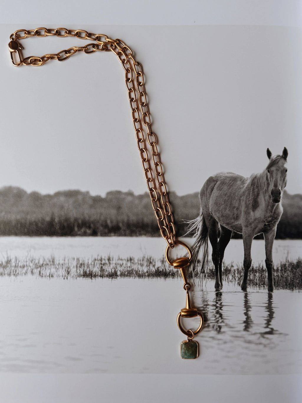 The Money In The Mane Necklace 9/15