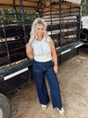 The Shannon Top