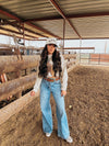 The Cisco Top