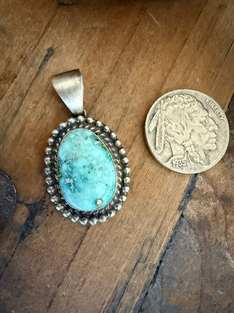 Sonoran pendant