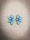 Brooks Stud Fashion Earrings