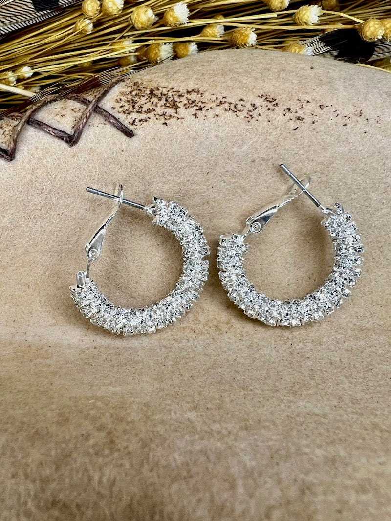Clear Sparkle Small Silver Hoops